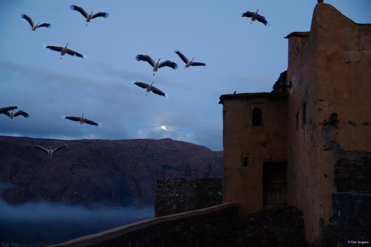 Hotel Tizourgane Kasbah Tiguissas Exterior foto